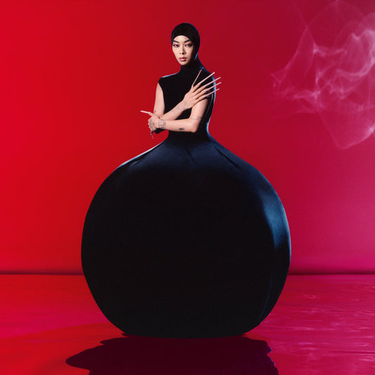 Album art for Rina Sawayama - Hold The Girl