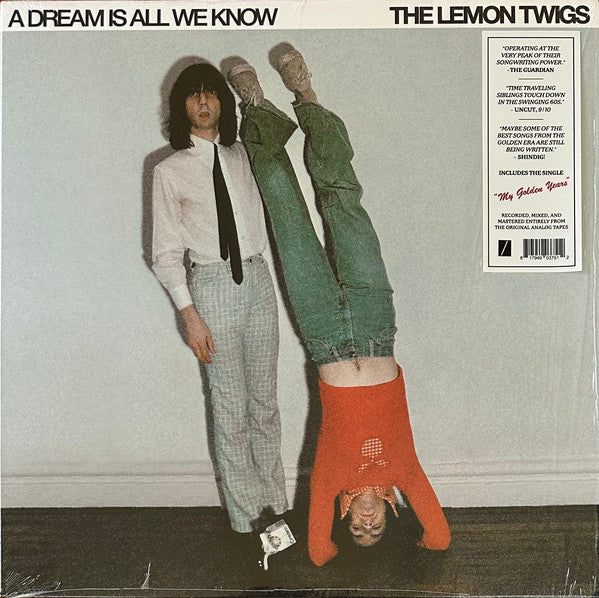 Album art for The Lemon Twigs - A Dream Is All We Know