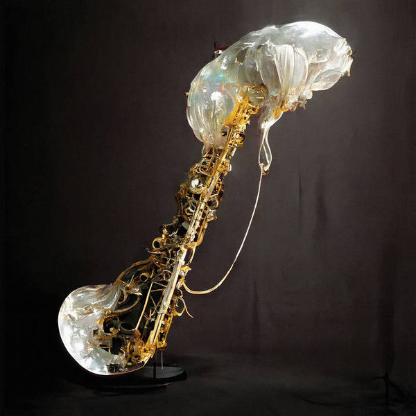 Album art for Sam Gendel - Cookup