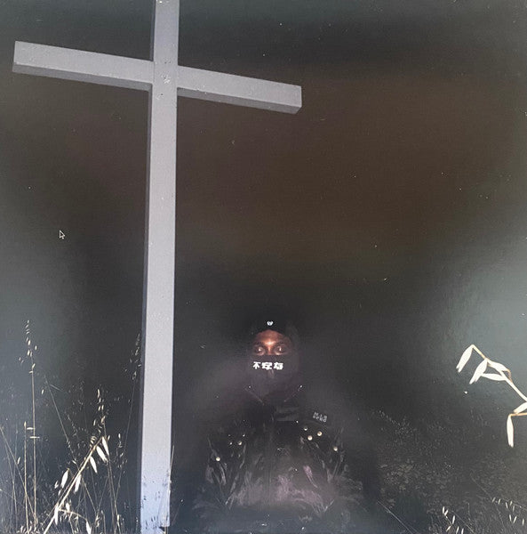 Album art for JPEGMAFIA - I Lay Down My Life For You