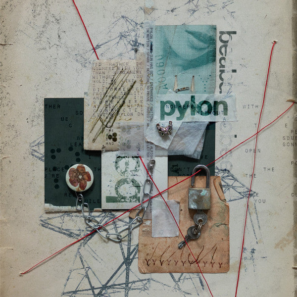 Album art for beabadoobee - Pylon