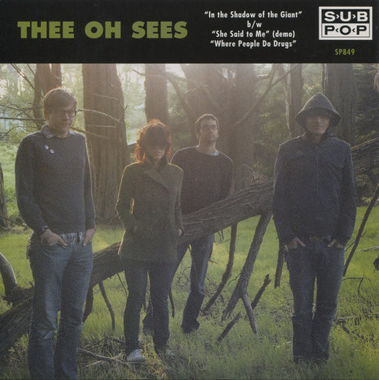 Album art for Thee Oh Sees - In The Shadow Of The Giant