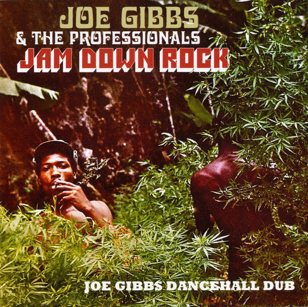 Album art for Joe Gibbs & The Professionals - Jam Down Rock (Joe Gibbs Dancehall Dub)