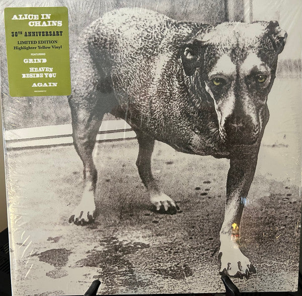 Album art for Alice In Chains - Alice In Chains