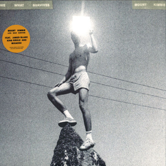 Album art for Mount Kimbie - Love What Survives