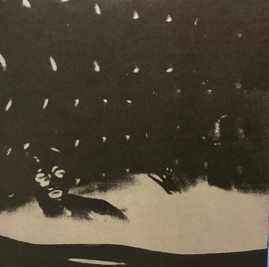 Album art for Cindy Lee - Malenkost