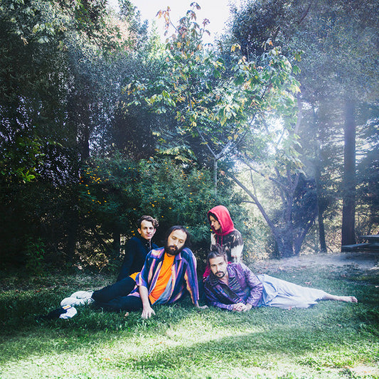 Album art for Big Thief - U.F.O.F.