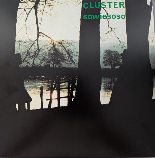 Album art for Cluster - Sowiesoso