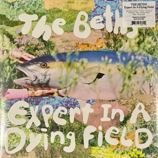 Album art for The Beths - Expert In A Dying Field