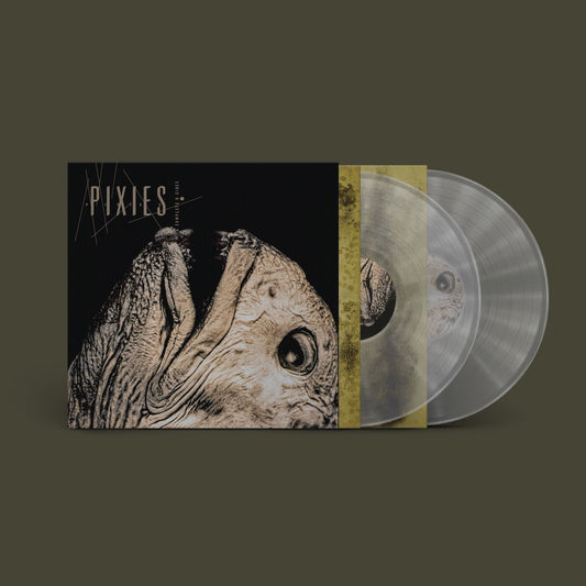 PRE-ORDER: Pixies - Complete B Sides: 1988-97 (Indie Exclusive Clear Vinyl 2xLP)