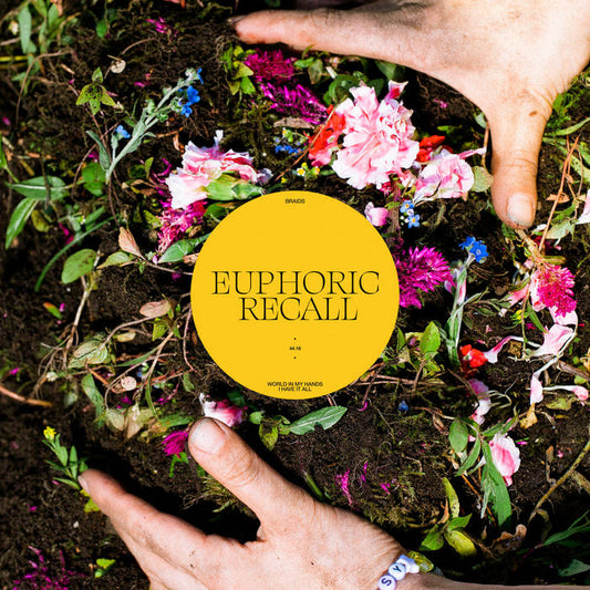 Braids - Euphoric Recall CD