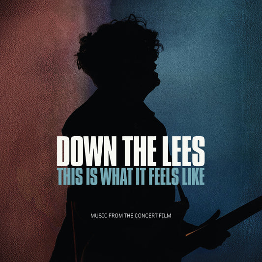Down The Lees - This Is What It Feels Like Cassette
