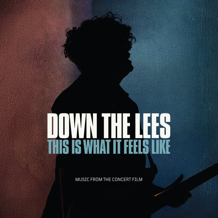 Down The Lees - This Is What It Feels Like
