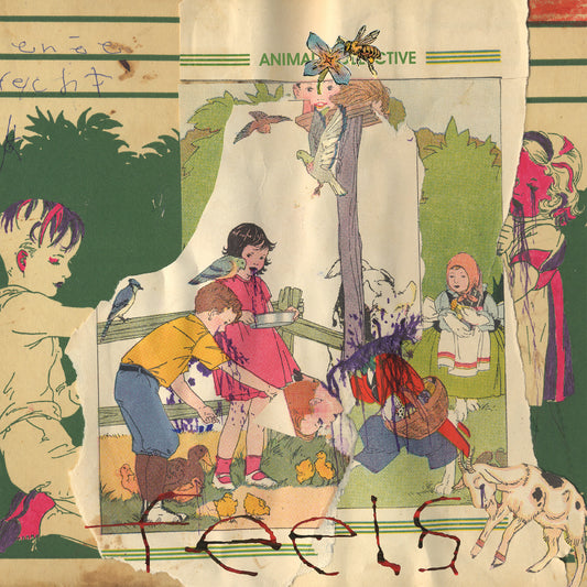 Animal Collective / Feels 20th Anniversary (DELUXE EDITION) CD