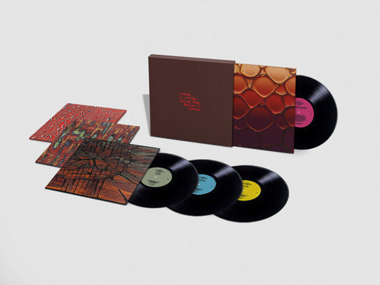 Pye Corner Audio - Where Things Are Hollow: No Tomorrow (Vinyl 4xLP Box Set)