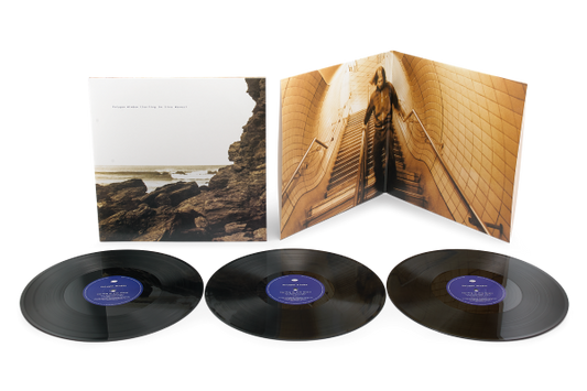 PRE-ORDER: Polygon Window - Surfing On Sine Waves (3xLP Expanded Vinyl Edition)