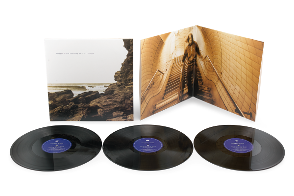 PRE-ORDER: Polygon Window - Surfing On Sine Waves (3xLP Expanded Vinyl Edition)