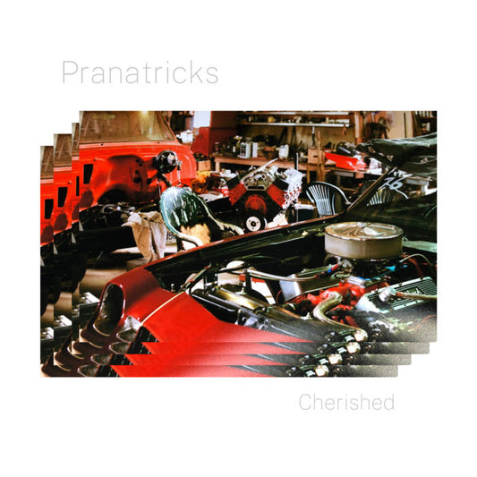 Pranatricks - Cherished LP