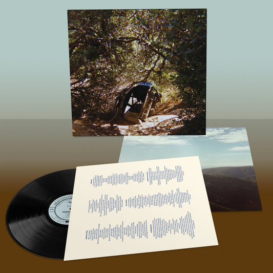 PRE-ORDER: Ty Segall - Possession (Vinyl LP)