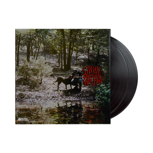 PRE-ORDER: Zach Bryan - With Heaven On Top (Vinyl 2xLP)