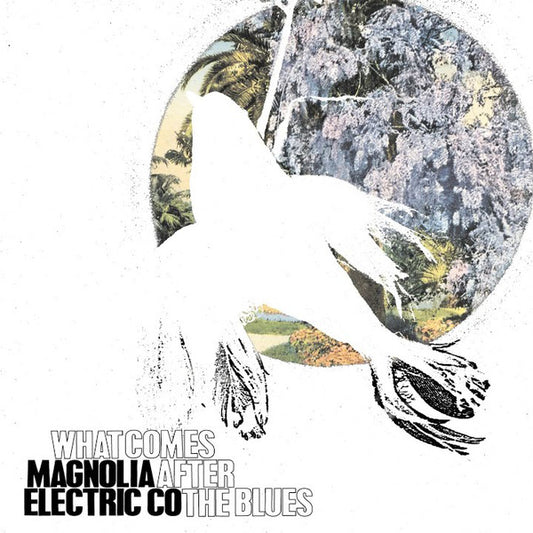 Album art for Magnolia Electric Co. - What Comes After The Blues