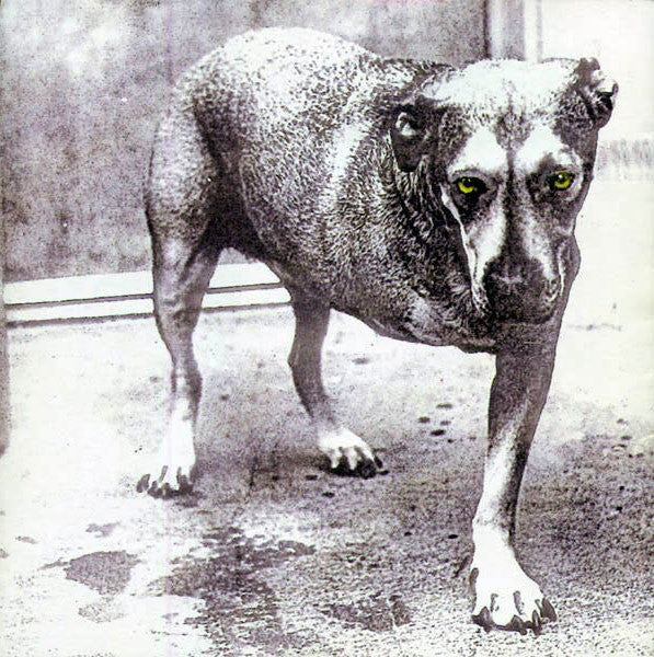 Album art for Alice In Chains - Alice In Chains
