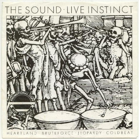 Album art for The Sound - Live Instinct