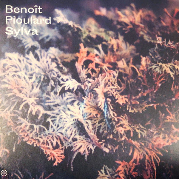 Album art for Benoit Pioulard - Sylva