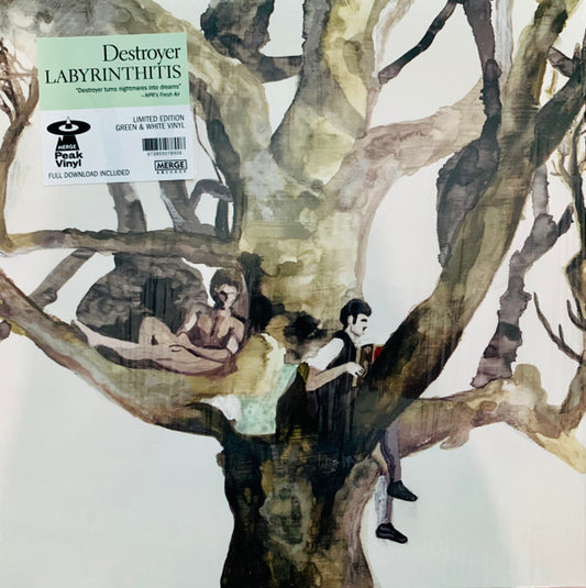 Album art for Destroyer - Labyrinthitis