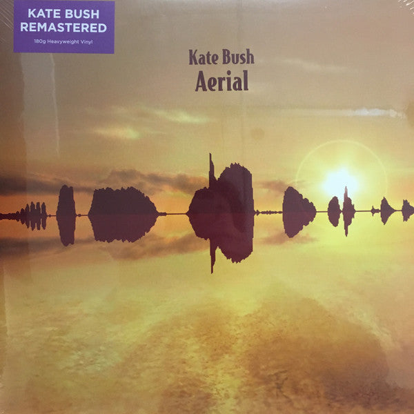 Album art for Kate Bush - Aerial