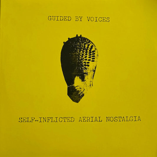 Album art for Guided By Voices - Self-Inflicted Aerial Nostalgia