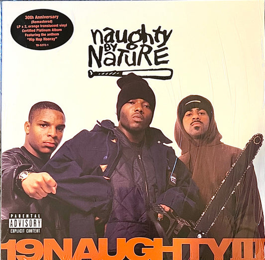 Album art for Naughty By Nature - 19 Naughty III