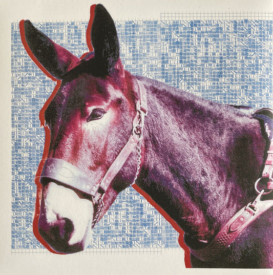Album art for Protomartyr - Ultimate Success Today