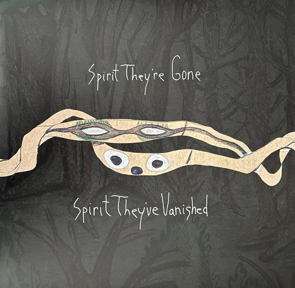 Album art for Animal Collective - Spirit They're Gone Spirit They've Vanished