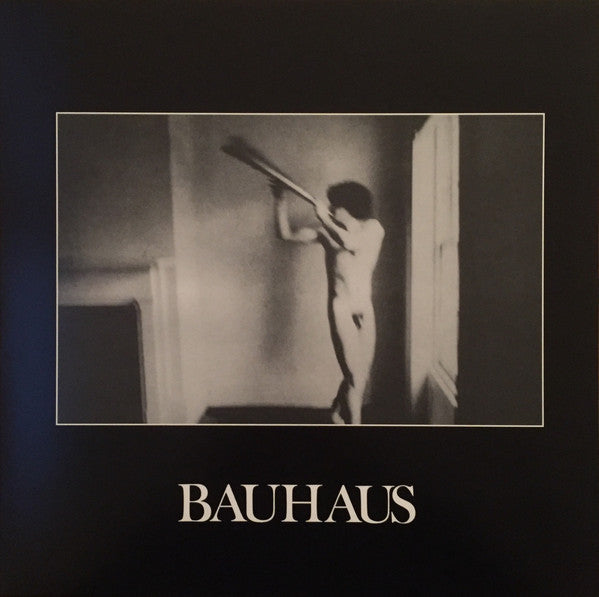 Album art for Bauhaus - In The Flat Field