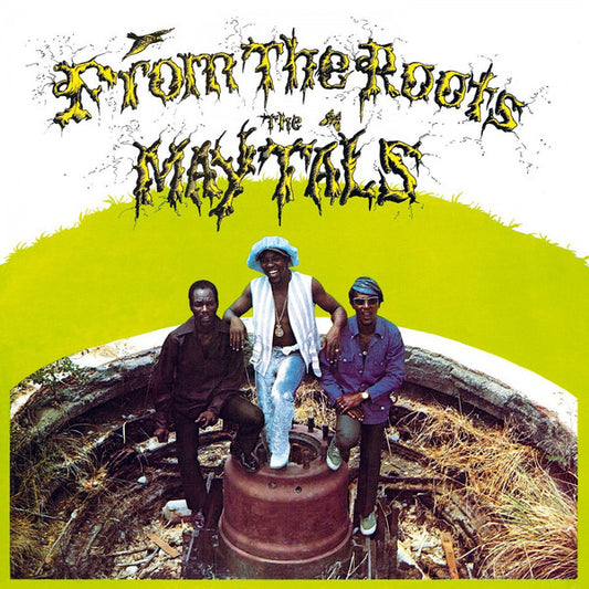 Album art for The Maytals - From The Roots