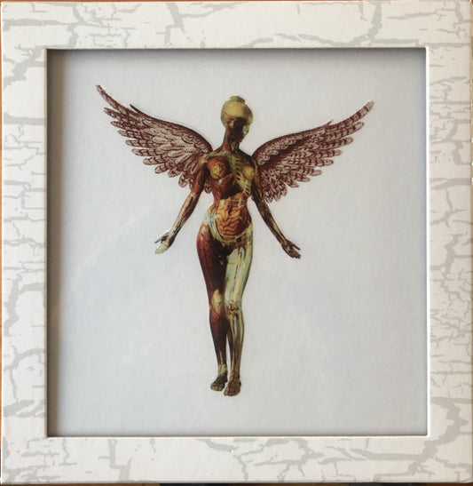Album art for Nirvana - In Utero