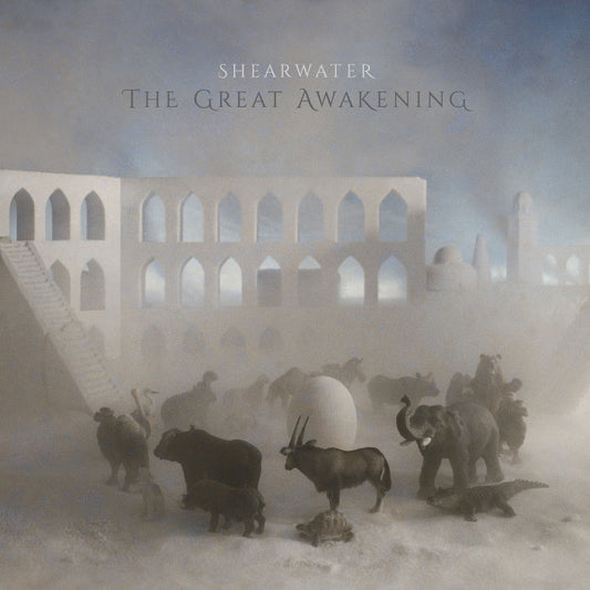 Album art for Shearwater - The Great Awakening