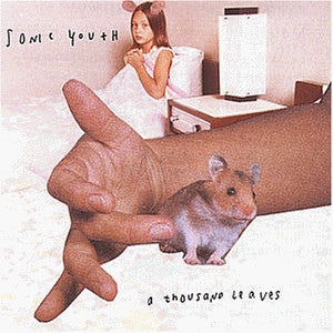 Album art for Sonic Youth - A Thousand Leaves