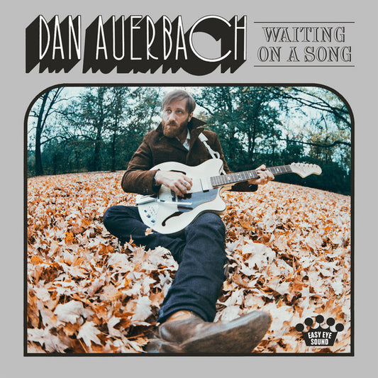 Album art for Dan Auerbach - Waiting On A Song 