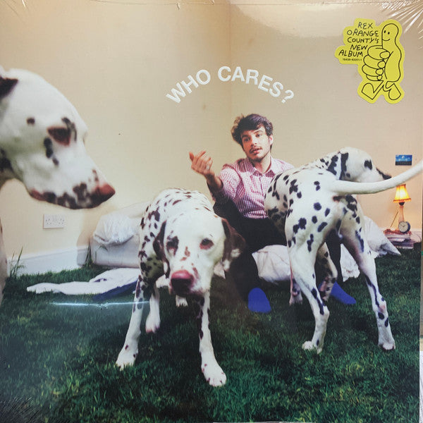 Album art for Rex Orange County - Who Cares?