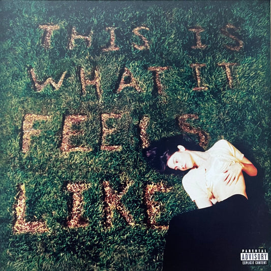 Album art for Gracie Abrams - This Is What It Feels Like