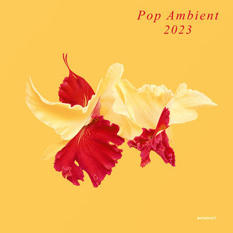 Album art for Various - Pop Ambient 2023