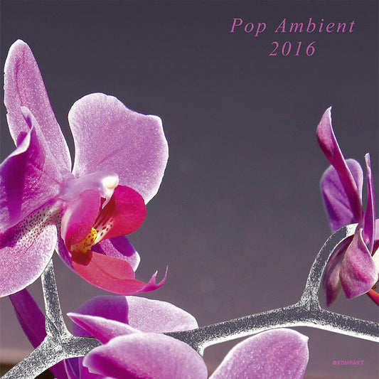 Album art for Various - Pop Ambient 2016