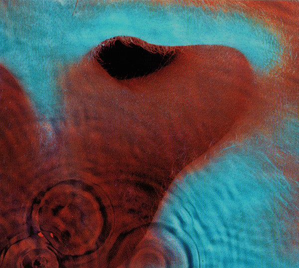 Album art for Pink Floyd - Meddle