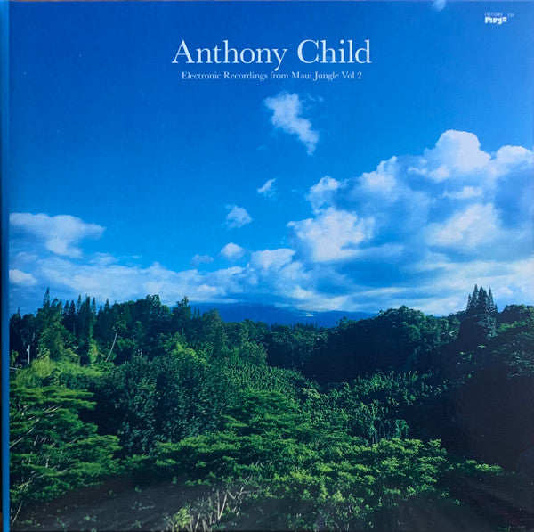 Album art for Anthony Child - Electronic Recordings From Maui Jungle, Vol. 2