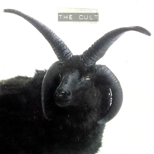 Album art for The Cult - The Cult