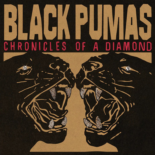 Album art for Black Pumas - Chronicles Of A Diamond
