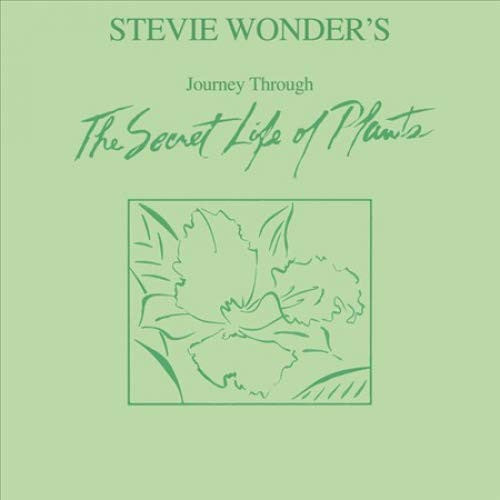 Album art for Stevie Wonder - Stevie Wonder's Journey Through The Secret Life Of Plants