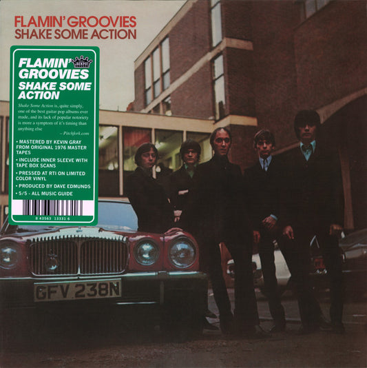 Album art for The Flamin' Groovies - Shake Some Action